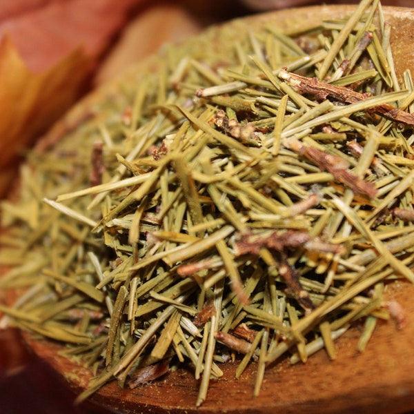 Pine Needle Tea - Whole Leaf, Wild Crafted Herb
