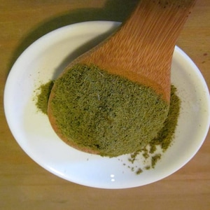 Pine Needle Tea Powder - Wild Crafted Daily! As FRESH as it Gets!