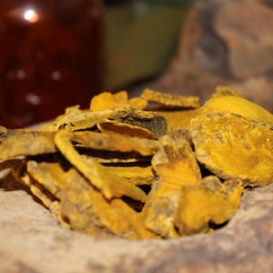 Turmeric Root - Dried Large Cut, Farm Grown
