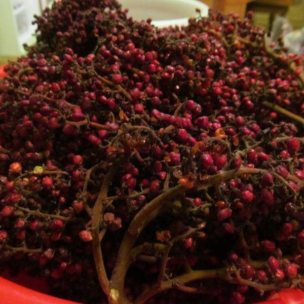 Sumac Berries, Whole - Appalachian Mountains Wild Harvest