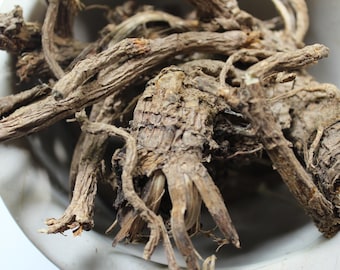 Spikenard Root - Whole, 2026 Appalachian Mountains Wild Harvest