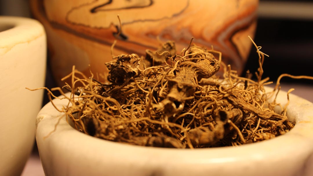 Blue Cohosh Root - Wild Harvest From the Appalachian Mountains - Etsy