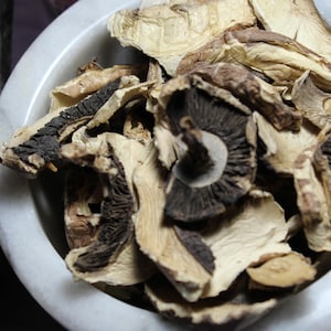 Portobello Mushrooms - Dried, Fresh and Tasty!