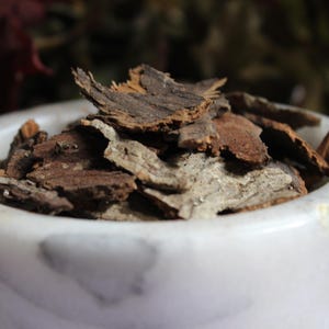 Hickory Bark - Wild Harvested Summer 2025 for Hickory Tea, Hickory Syrup, Flavoring, Herbal use