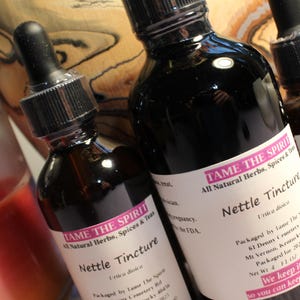 Nettle Tincture - Made with Wild Harvested Nettle from the Appalachian Mountains