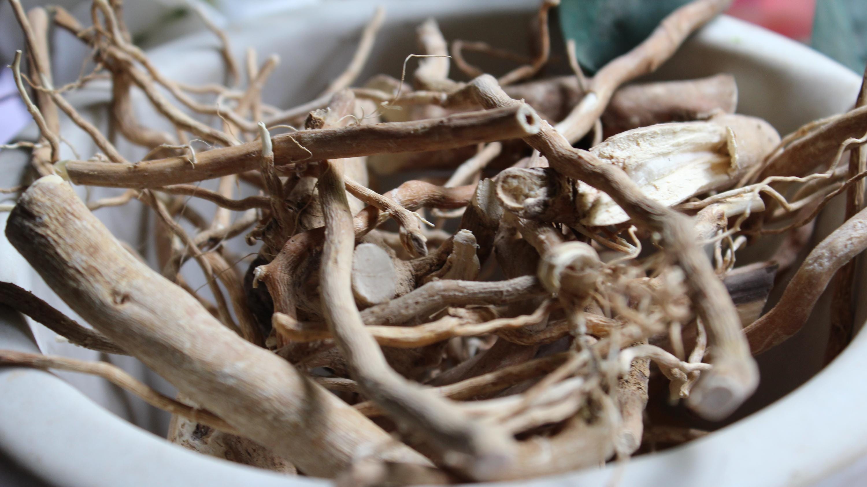 Hydrangea Root - Whole Dried Roots, Fresh 2026 Appalachian Mountains ...
