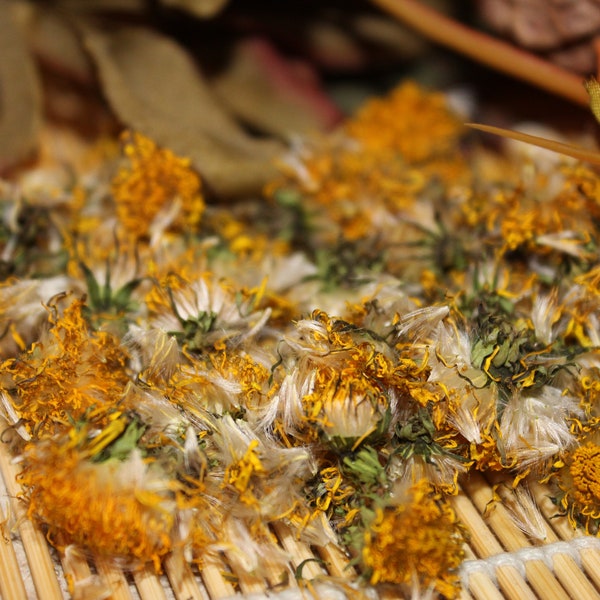 Dandelion Flower, Dried - Spring 2024 Appalachian Mountains Wild Crafted