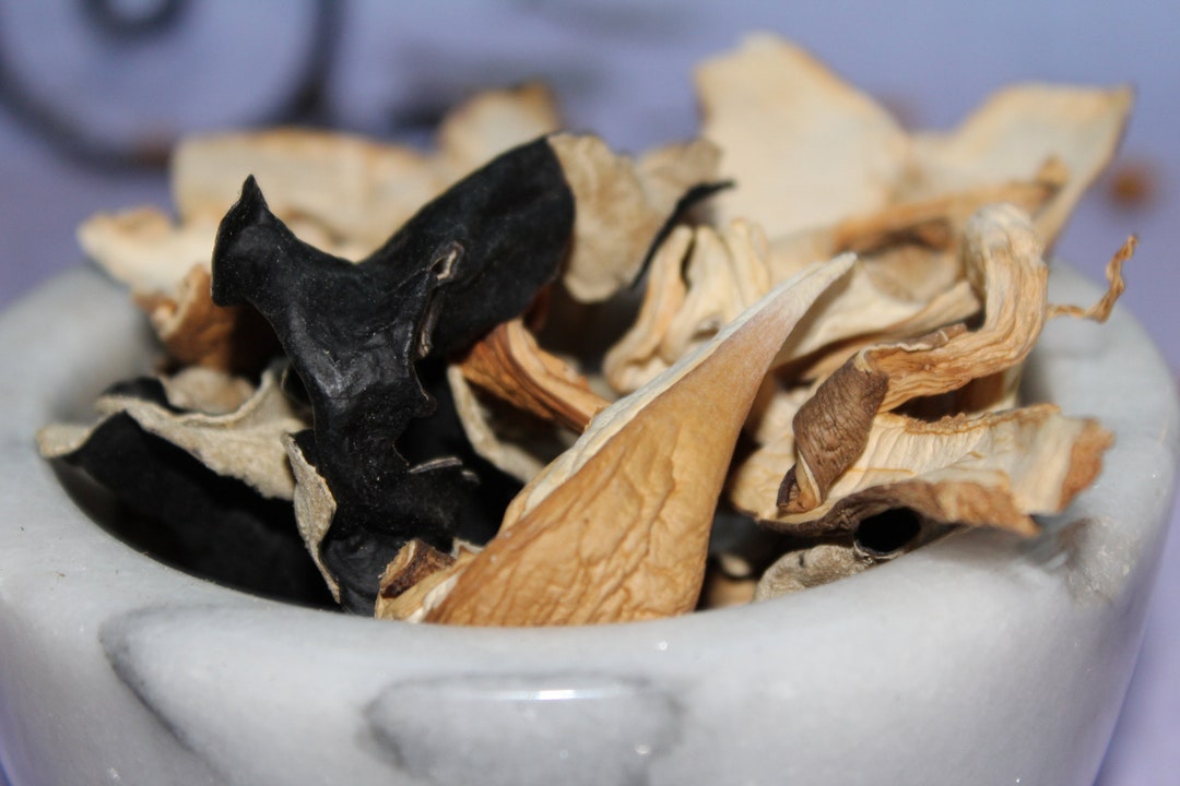 Mushroom Mix Healthy & Delicious Porcini, Shiitake, Oysters and Wood