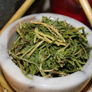 Ground Cedar - ( Club Moss ) Summer 2025 Wild Harvested Herb