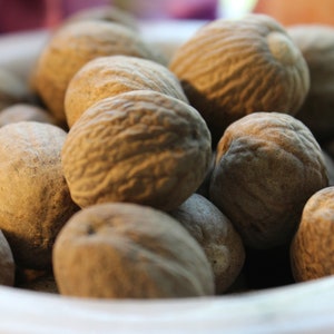 May include: A white bowl filled with brown nutmeg seeds. The seeds are arranged in a random pattern and are all roughly the same size.
