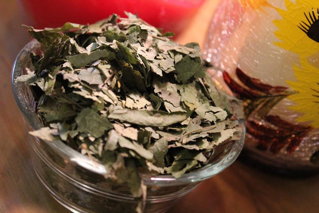 Sassafras Leaf, Dried Herb