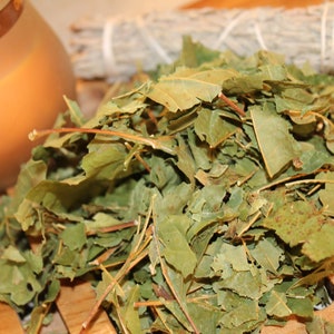 Sycamore Maple Leaf Herb - 2025 Appalachian Mountains Wild Harvest