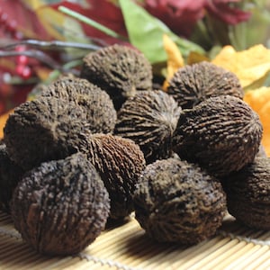 May include: A pile of dark brown, textured walnuts, with a rough, ridged surface. The walnuts are arranged on a light brown bamboo mat. In the background, there are colorful fall leaves and red berries.