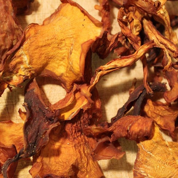 Chanterelle Mushroom - Whole Dried Mushrooms, Wild Harvested in the Appalachian Mountains