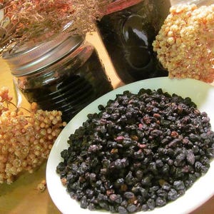 Elderberries - Wild Harvested in the Appalachian Mountains