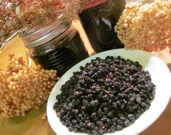 Elderberries - Wild Harvested in the Appalachian Mountains