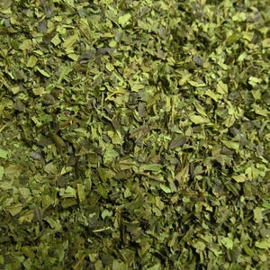 Mulberry Leaf - Fresh Wild Tea from the Appalachian Mountains