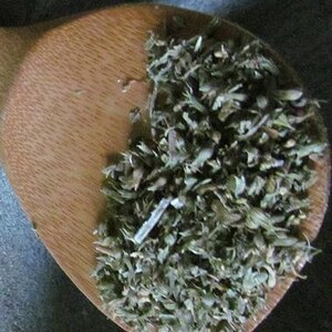 Catnip - Organic Herbs, Cut & Sifted (Nepeta cataria) image 2