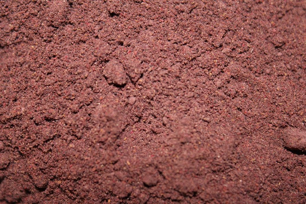Blackberries Powdered Fruit Sun Dried Summer 2022 Wild Etsy UK