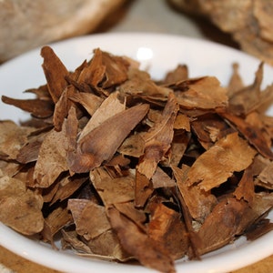 Tree of Heaven Herb - Ailanthus altissima, Chinese Herbs