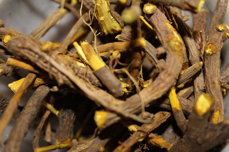 Yellow Root Appalachian Mountains Wild Harvest Etsy