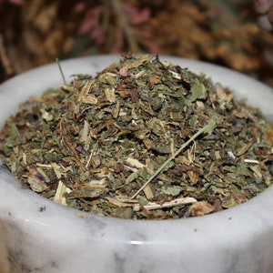 Chinese Mugwort - Artemisia argyi