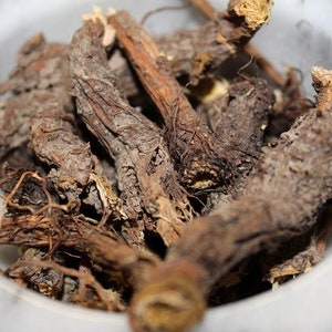 Yellow Dock Root, Cut & Sifted Tea Cut Herb, Spring 2025 Appalachian Mountains Wild Harvest