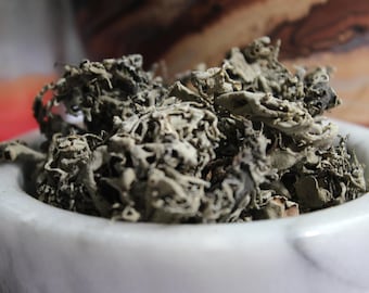 Organic Lungwort Herb - Pulmonaria Officinalis, Air Magick