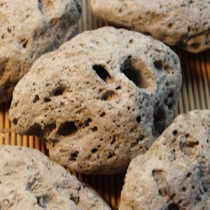 Pumice Stone - All Natural Exfoliation - Large 4&quot;-5 inch pieces
