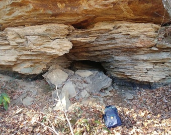 Lignite Coal,  Specimans from Deep Forest Abandoned Mine