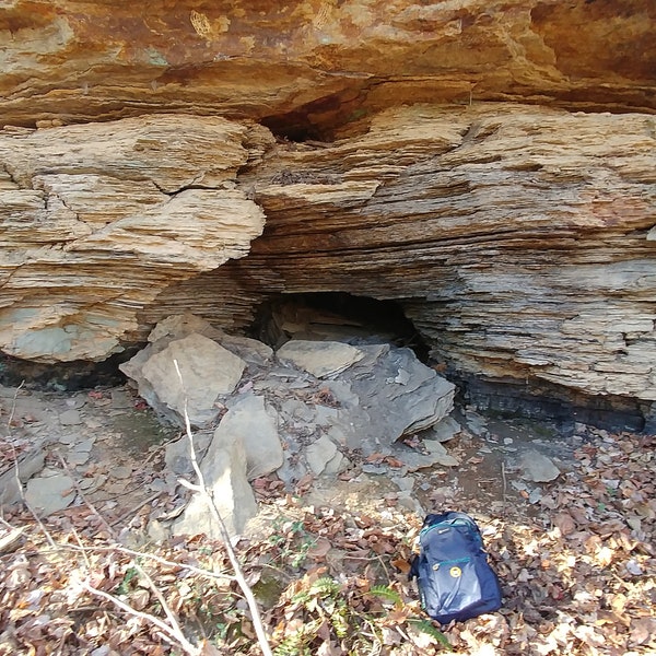 Lignite Coal,  Specimans from Deep Forest Abandoned Mine