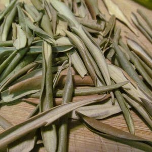 Olive leaf - Organic Herbs by &quot;Tame the Spirit&quot;