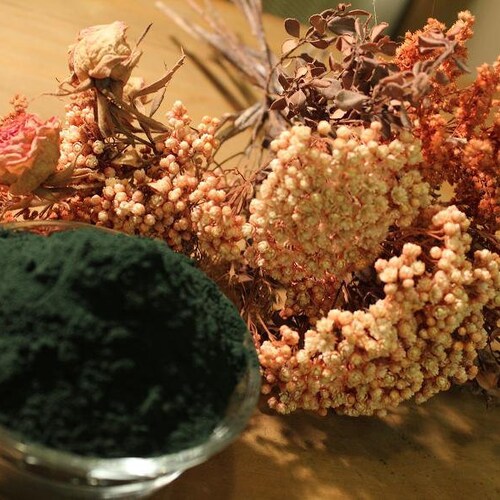 Spirulina Powder - ( blue-green algae )