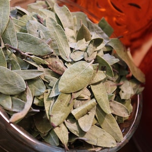Uva Ursi Leaf