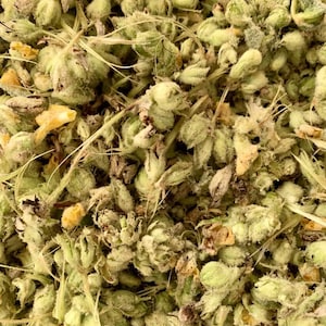 Mullein Flower - Summer 2026 Appalachian Mountain Wild Harvest, Sun dried
