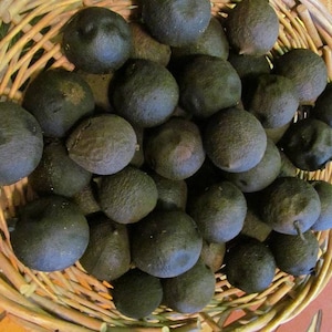 May include: A wicker basket filled with dark, round, smooth objects. The objects are arranged in a random pattern and appear to be made of a natural material.