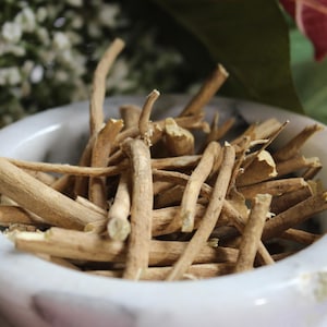 May include: Close-up of a white marble bowl filled with light brown, dried sticks. The bowl is set against a backdrop of green and red foliage. The sticks appear to be a natural product.