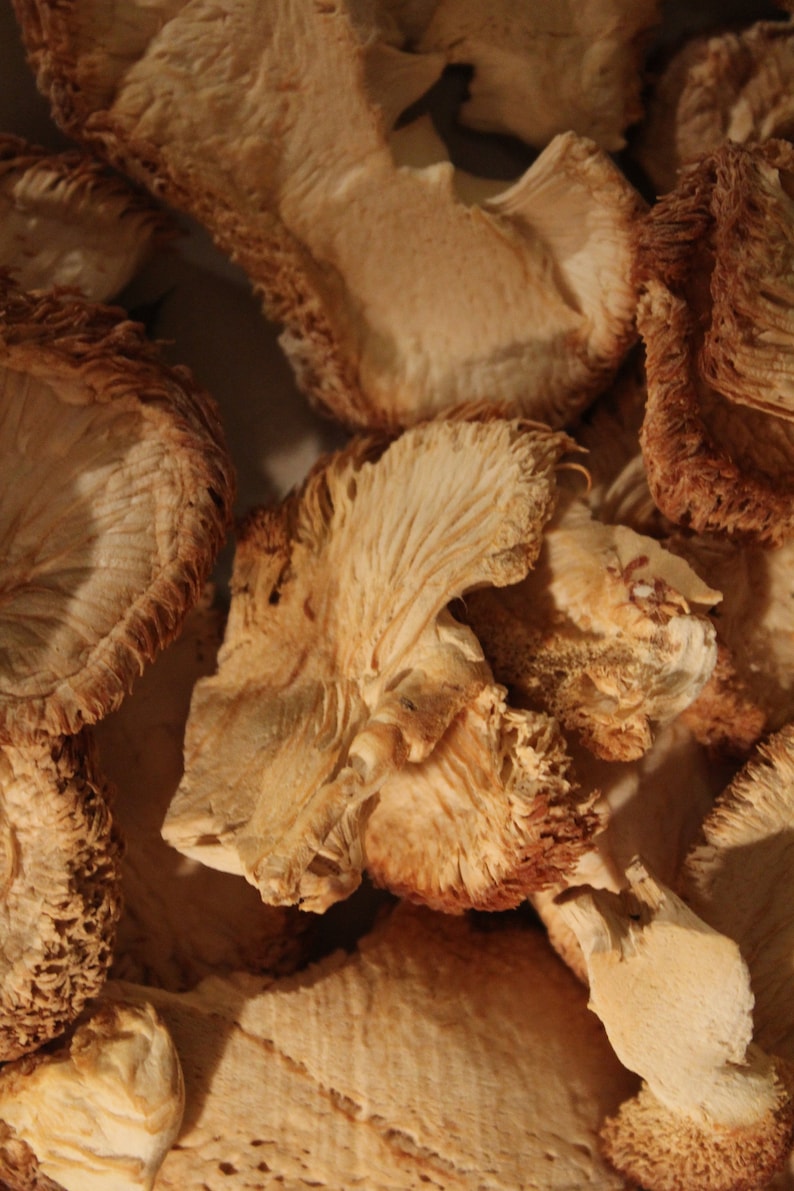 May include: Close-up of dried mushrooms with a light brown color and a textured surface. The mushrooms are arranged in a pile, showing their various shapes and sizes.