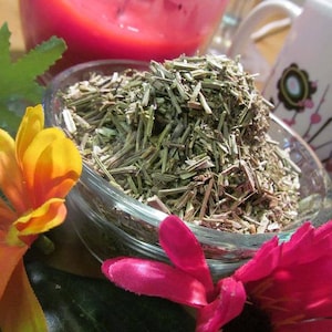 Vervain, Common - Herbs by &quot; Tame the Spirit&quot;