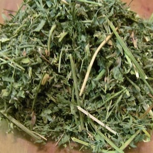 Alfalfa Leaf