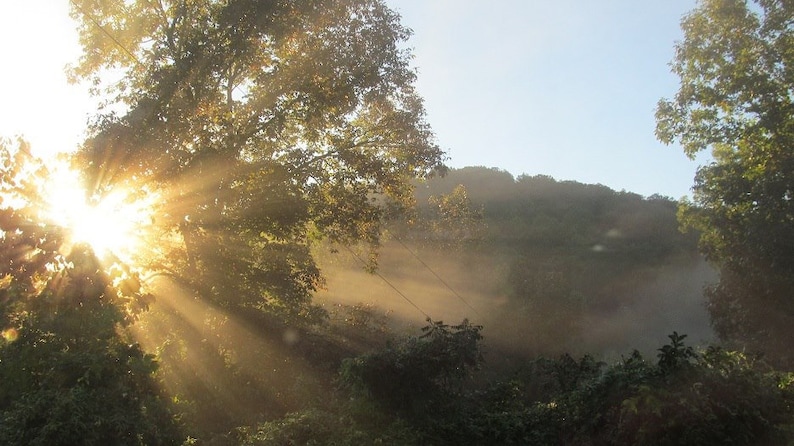 May include: A bright sun shines through the branches of a tree, casting rays of light through the misty air. The sun is partially obscured by the leaves of the tree, creating a starburst effect. The background is a hazy forest with a hill in the distance.