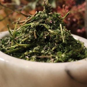 Dead Nettle Leaf Herb - Appalachian Mountains 2025 Wild Harvest