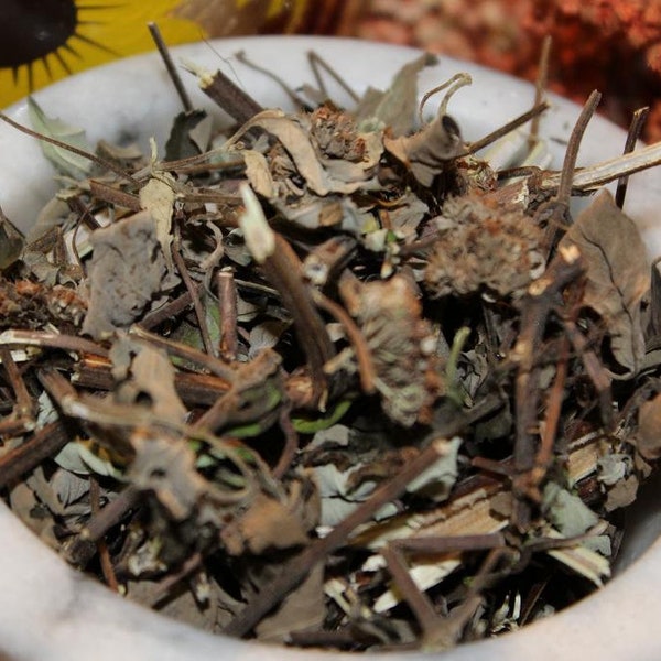 Mountain Mint - Appalachian Mountains Wild Harvest