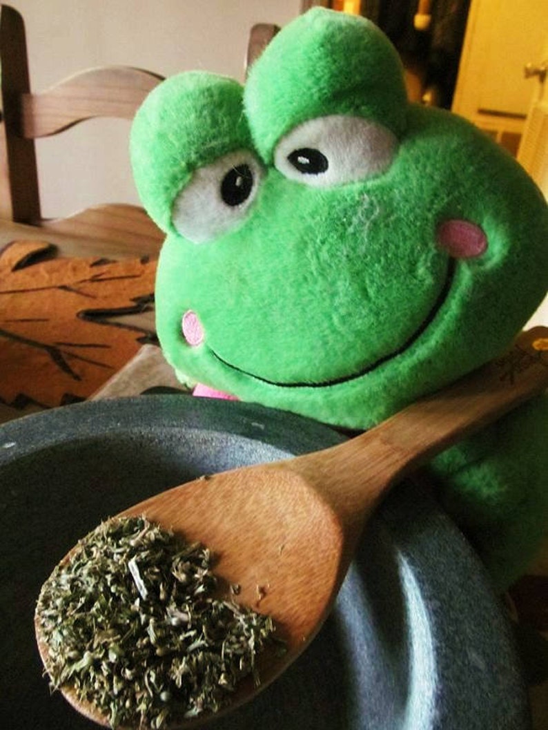 May include: A green plush frog toy with large eyes and a pink nose, holding a wooden spoon filled with dried herbs. The spoon is resting in a gray stone mortar.