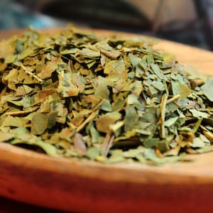 Peach Leaf Herb - Spring 2025 Appalachian Mountains Harvest
