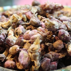 Coltsfoot Flower Blossoms - Dried Herb