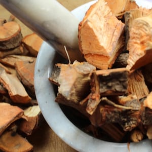 Sassafras Root with Bark, Wild Harvested Winter 2025 - Cut into chunks