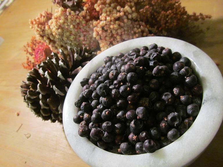 Juniper Berries - Wild Harvest from the Kentucky Appalachian Mountains
