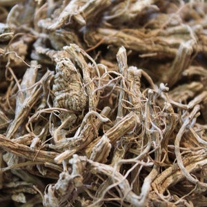 Teasel Root - Wild Herbs from the Appalachian Mountains