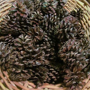 May include: A wicker basket filled with a collection of brown pine cones.